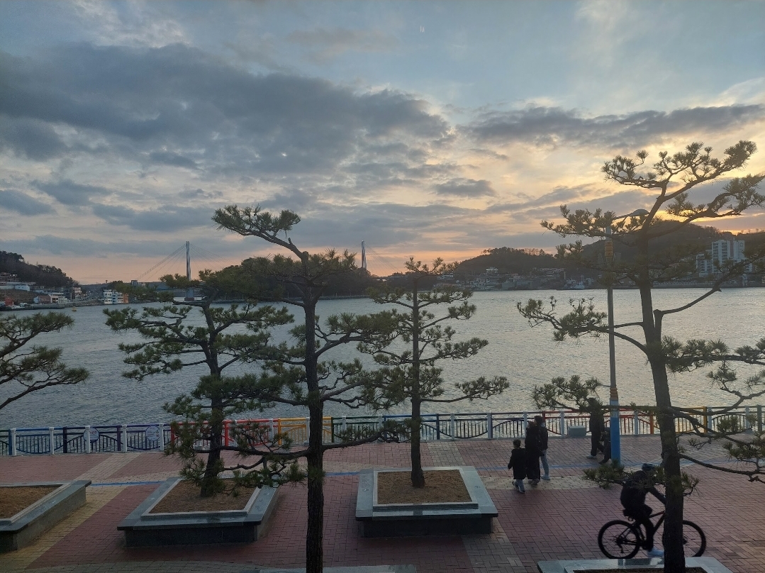 사진